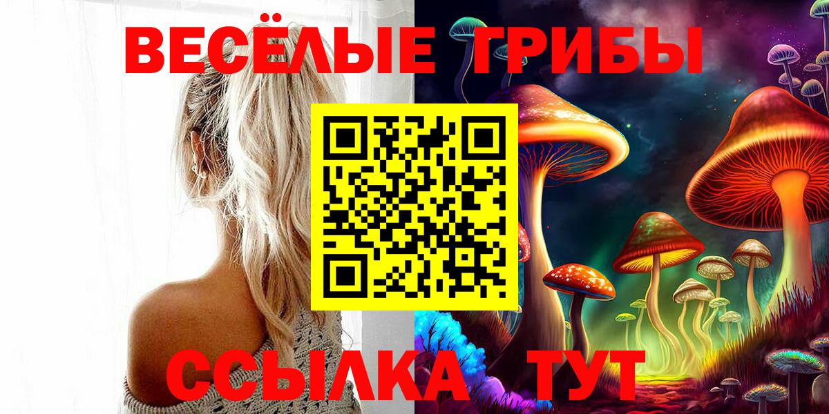 Псилоцибиновые грибы прущие грибы  Вход с VPN  Дивногорск  Галлюциногенные грибы GOLDEN TEACHER 