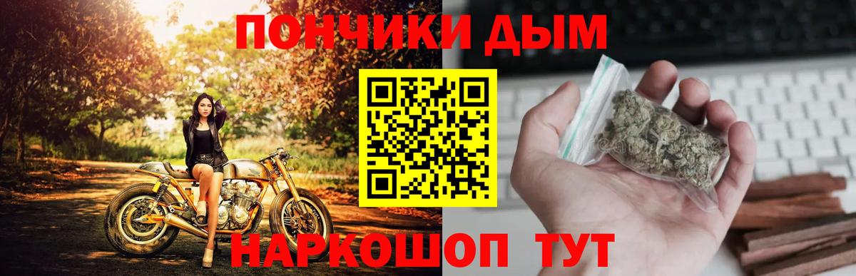 Каннабис сатива Дивногорск